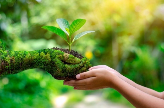 Hoy es el Día Mundial del Medio ambiente ??? 1