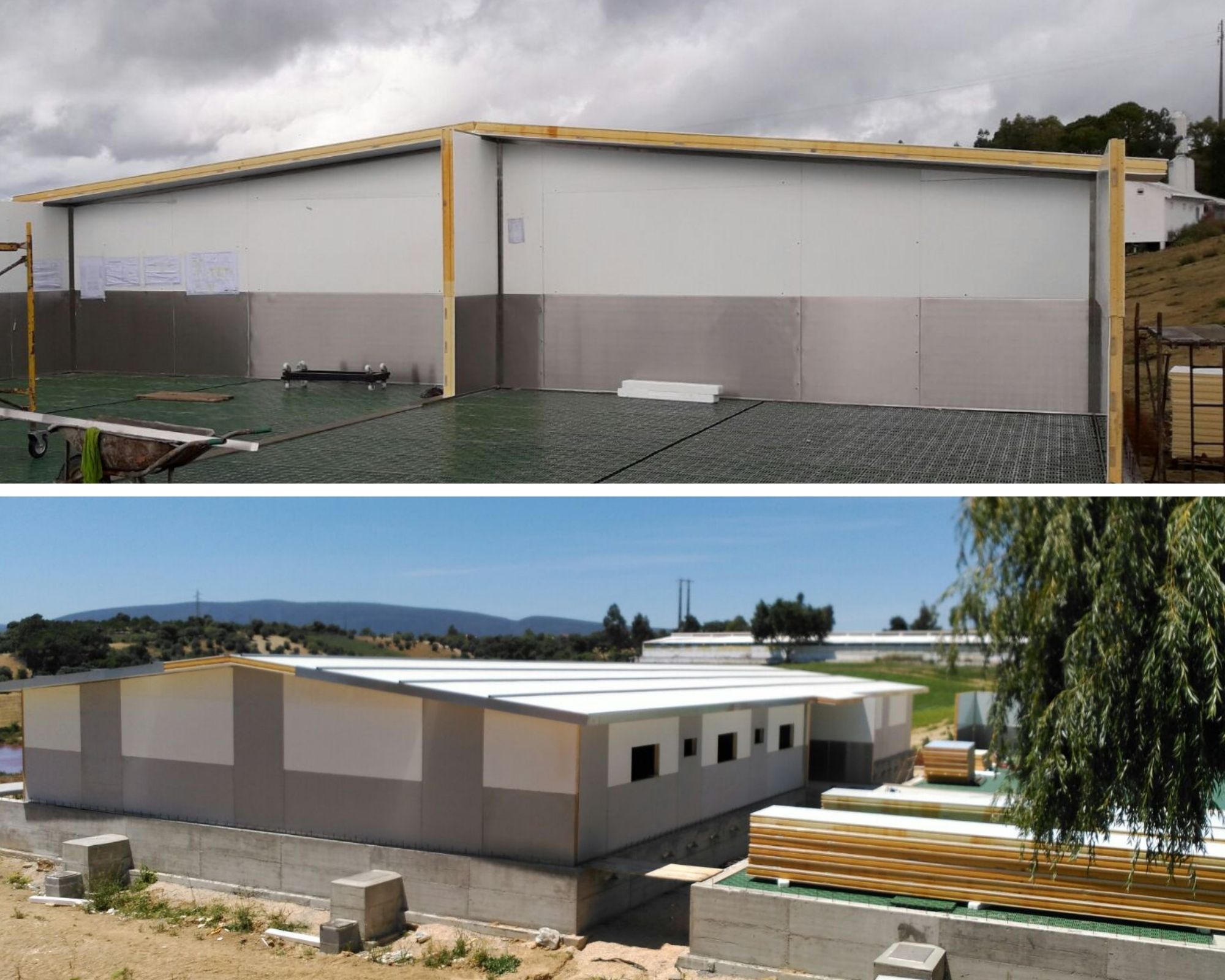 Una granja de lechones no es una construcción cualquiera🐷 7